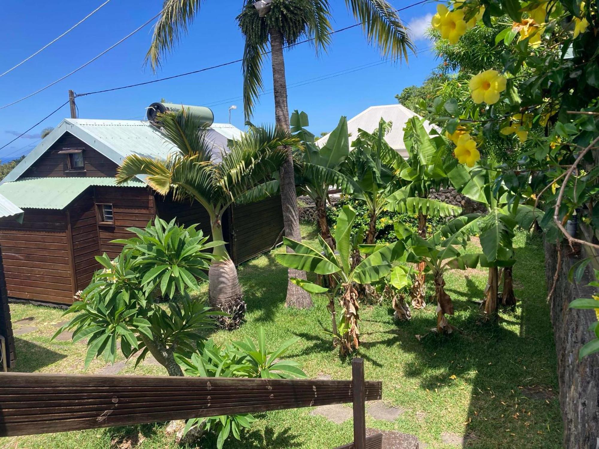 Les Bungalows Les Vanilliers, Sud Sauvage Avec Piscine Saint-Joseph Exterior photo